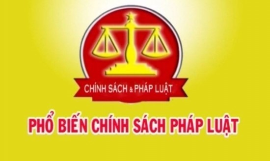 Luật dân chủ cơ sở